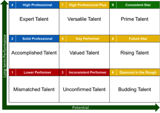 Learning agility talent matrix